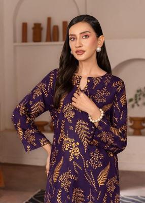 2 Pcs Women’s Stitched Organza Embroidered Frock & Trouser  Sakoon Brand